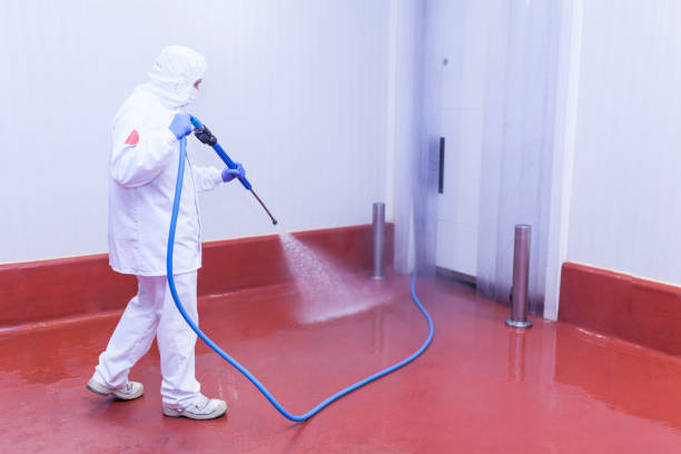 Best Paint Preparation  in Gulfport, FL